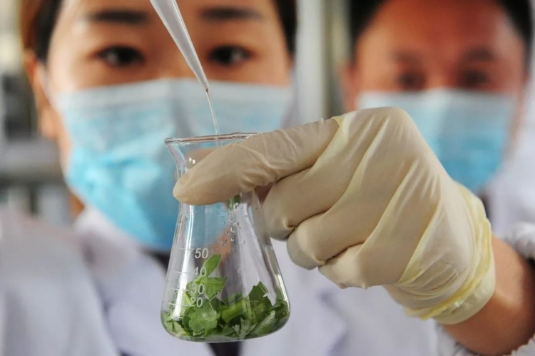 我國(guó)的農(nóng)藥殘留標(biāo)準(zhǔn)與國(guó)際接軌