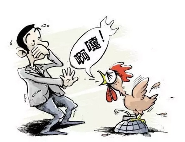 禽流感影響鳥類，包括家禽和野生鳥類